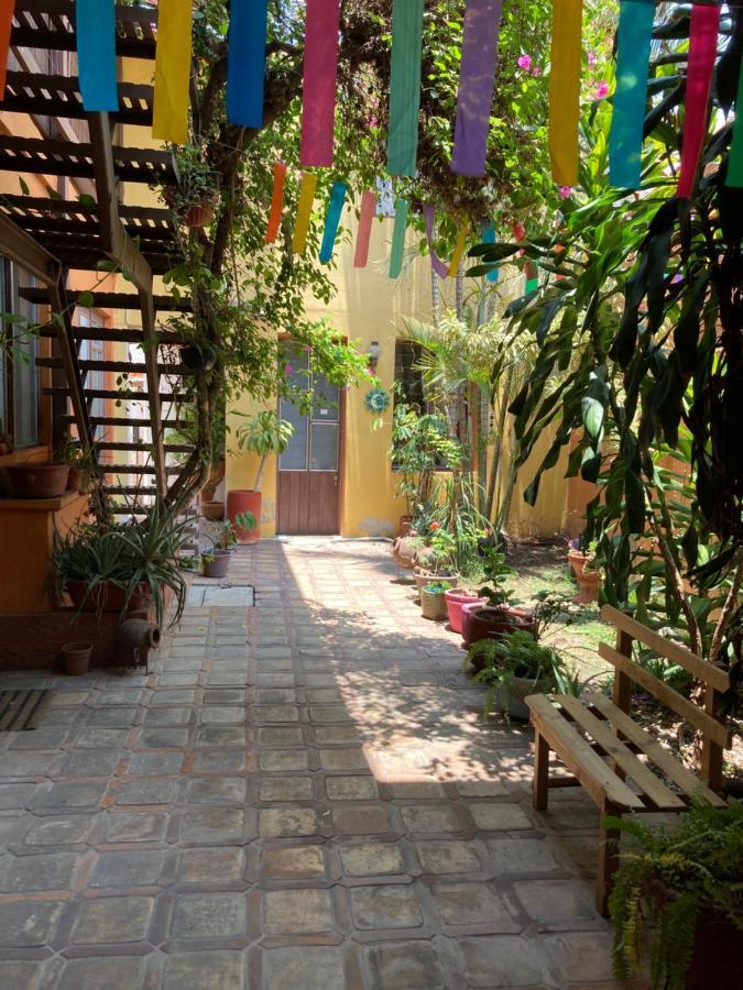 Calida Habitacion A 10 Min De Santo Domingo Oaxaca Luaran gambar